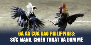 Đá Gà Cựa Dao Philippines: Sức Mạnh, Chiến Thuật Và Đam Mê